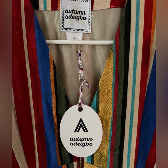 Autumn Adeigbo Striped V-Neck Astrid Dress sz 2 - Picture 6 of 12